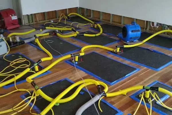 Rows of drying mats and air movers on a wood floor in a Manchester home